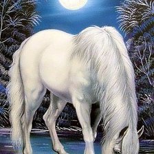 Оригинал схемы вышивки «белый конь» (№1159373)