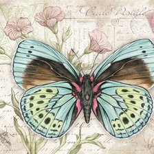 Серия бабочки