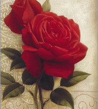 Схема вышивки «бархатная роза»