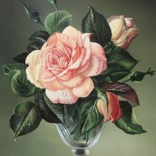 Оригинал схемы вышивки «роза» (№1169403)
