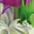 Предпросмотр схемы вышивки «Пионы и тюльпаны» (№1169901)