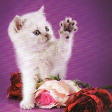 Оригинал схемы вышивки «котенок с розами» (№1174501)