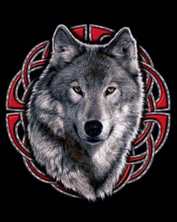 Волки - животные, волки, волк, природа, анималисты - предпросмотр