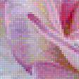 Предпросмотр схемы вышивки «Розы» (№1179888)