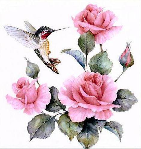 Колибри и розы - цветы, птицы - оригинал