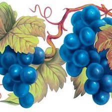 Схема вышивки «виноградная лоза»