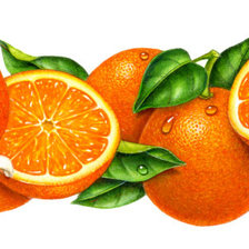 Оригинал схемы вышивки «Апельсины» (№1197210)