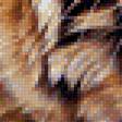 Предпросмотр схемы вышивки «Тигр» (№1207829)