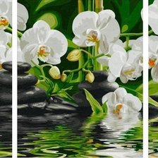 Оригинал схемы вышивки «триптих-орхидеи» (№1209154)