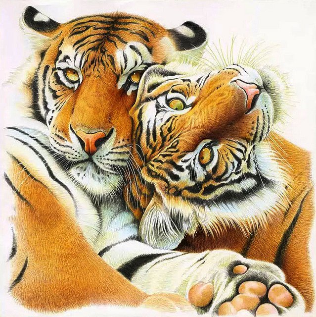 Love - тигр, животные, дикие кошки - оригинал