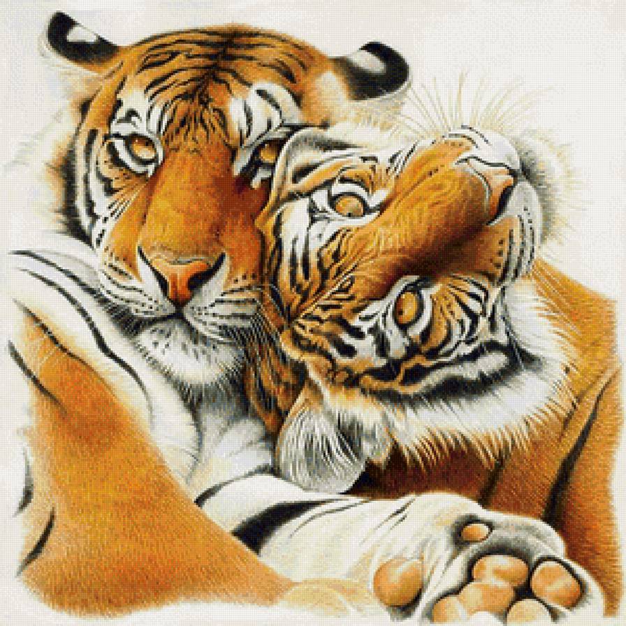 Love - дикие кошки, тигр, животные - предпросмотр