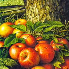 Схема вышивки «Яблочки под деревом»