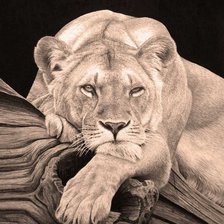 Схема вышивки «Мудрый лев»