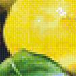 Предпросмотр схемы вышивки «Лимонная корзинка» (№1215262)