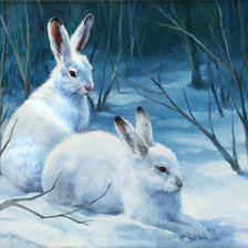 Зайчишки в зимнем лесу