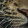 Предпросмотр схемы вышивки «Малыш леопард» (№1224212)