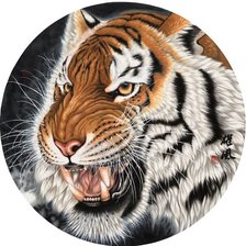 Оригинал схемы вышивки «Тигр» (№1224901)