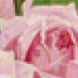 Предпросмотр схемы вышивки «Розовые розы» (№1226171)