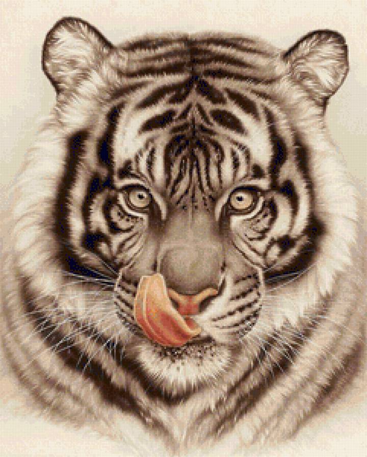 белый тигр - белый тигр, тигр, хищники - предпросмотр