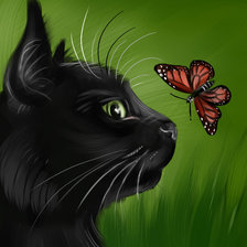 Черный кот с бабочкой