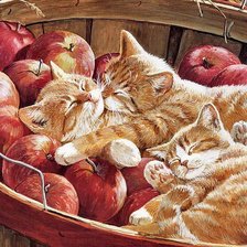 Схема вышивки «котята в яблоках»