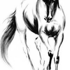 Схема вышивки «horse black and white»