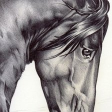 Схема вышивки «horse»