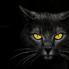Схема вышивки «Черная кошка»