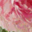 Предпросмотр схемы вышивки «Розы и пион» (№1239560)
