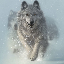 Схема вышивки «бегущие волки»