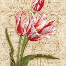 Оригинал схемы вышивки «тюльпаны» (№1242682)