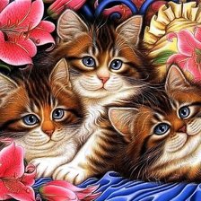 Схема вышивки «милее кошки - зверя нет»