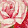 Предпросмотр схемы вышивки «Розовый букет» (№1247729)