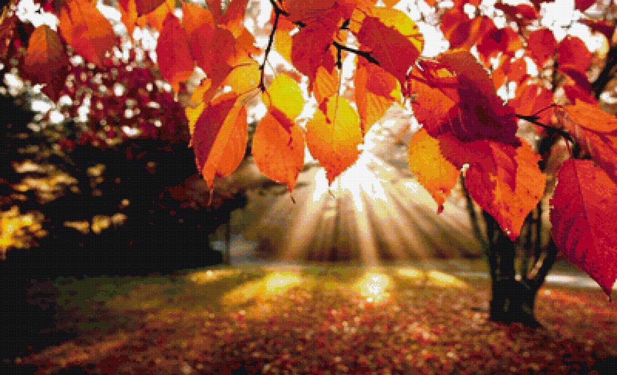 Яркая осень - листья, яркие краски, осень - предпросмотр