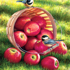 Схема вышивки «урожай яблок»