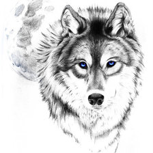 Оригинал схемы вышивки «Волк» (№1256660)
