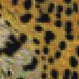 Предпросмотр схемы вышивки «Леопард» (№1257752)