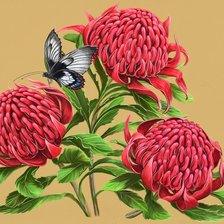 Оригинал схемы вышивки «бабочки и цветы» (№1258427)
