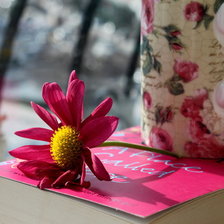 Схема вышивки «приятное утро, розовая ромашка»