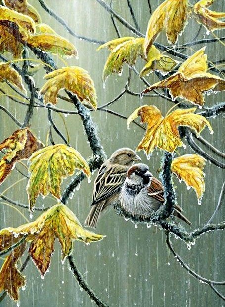 птички-невелички - осень, воробей, пара, дождь, птицы, воробьи - оригинал