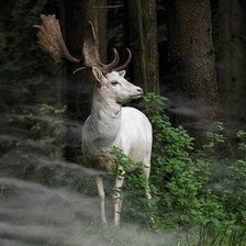 Схема вышивки «белый олень в белой дымке предрассветного тумана»