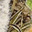 Предпросмотр схемы вышивки «Лисята» (№1273694)