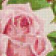 Предпросмотр схемы вышивки «Розовые розы (для Gianeja)» (№1276774)