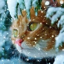 Схема вышивки «Рыжий кот зимой»