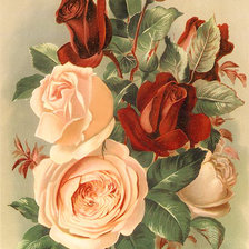 Оригинал схемы вышивки «Винтажные розы» (№1279538)