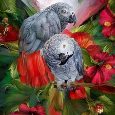 Оригинал схемы вышивки «попугаи» (№1283170)