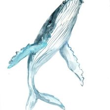 Схема вышивки «синий кит»