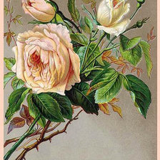 Оригинал схемы вышивки «розы» (№1283694)
