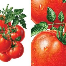 Схема вышивки «диптих "томаты"»