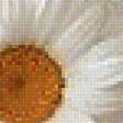 Предпросмотр схемы вышивки «Цветы» (№1294735)